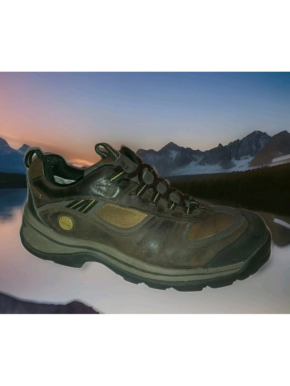 Timberland Chocorua Trail Gore-Tex Low Hiking Boots Shoe Men 11 WATERPROOF BROWN